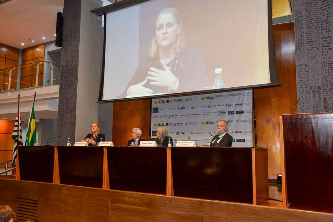 Acionista de referência: papel e responsabilidade